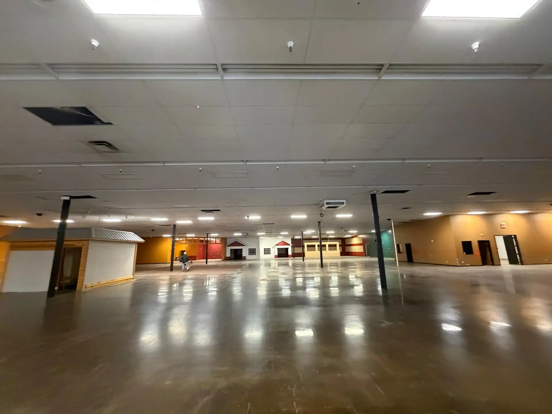 Ace Pickleball - Image 2